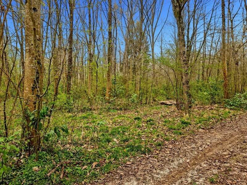 Maison à LA FERTE-SOUS-JOUARRE