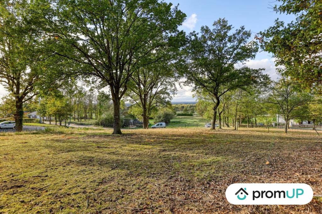 Terrain à SAINT-VICTOR