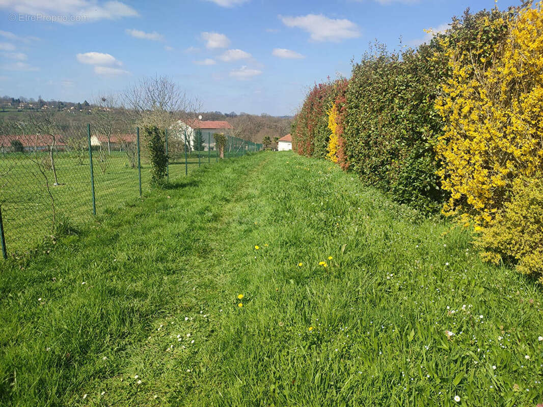 Terrain à BOSMIE-L&#039;AIGUILLE