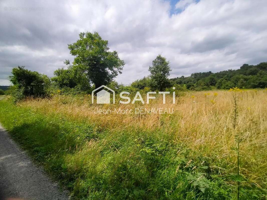 Photo 4 - Terrain à BENAIS