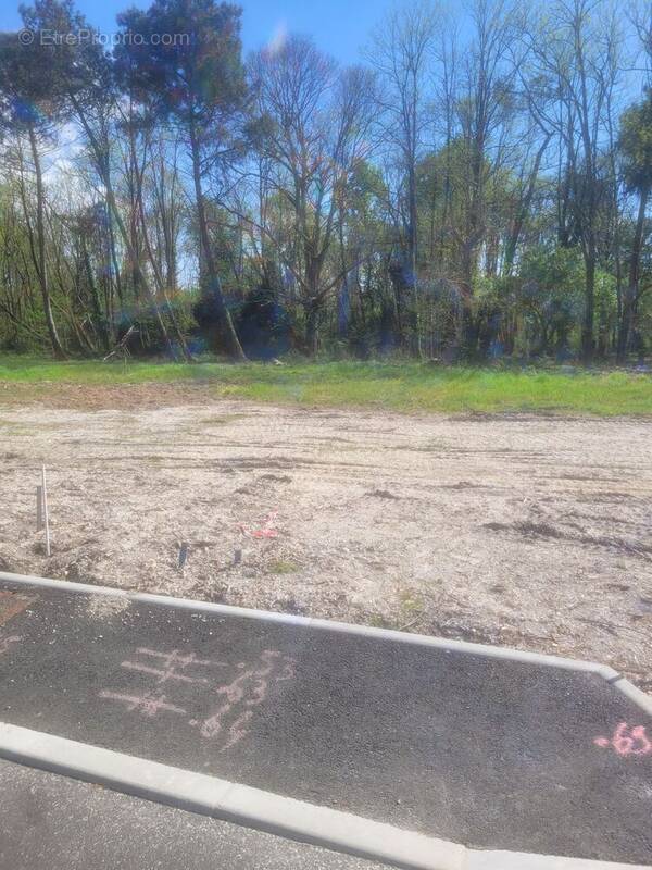 Terrain à SAINT-AUBIN-DE-MEDOC