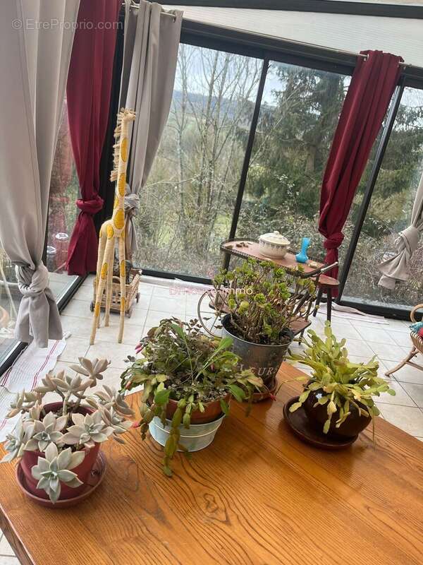 Maison à SAINT-AMOUR