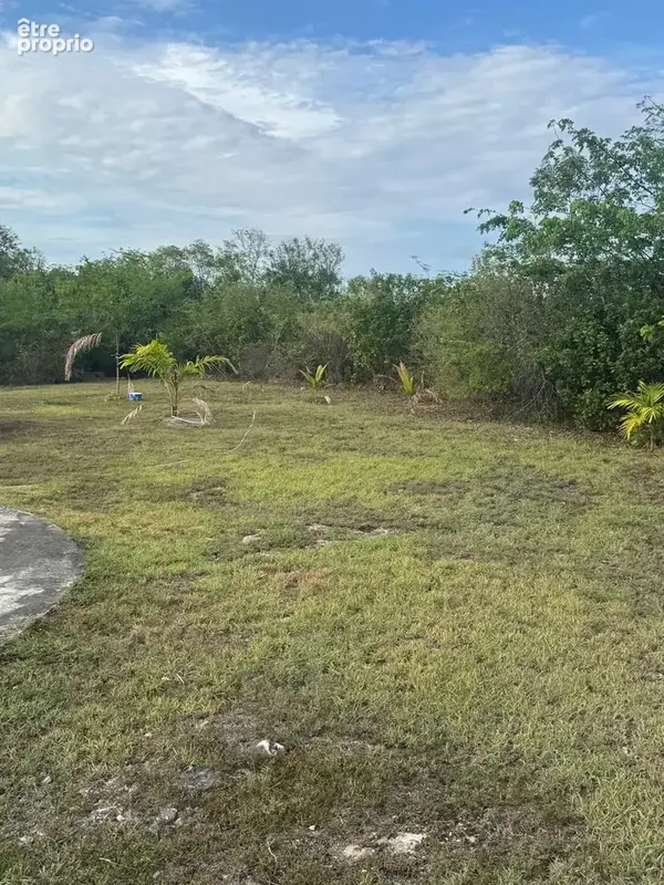 Terrain à ANSE-BERTRAND