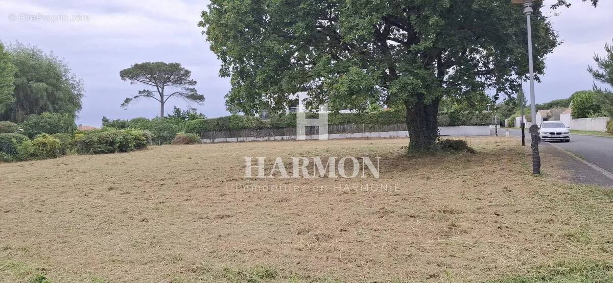 Terrain à LA TESTE-DE-BUCH