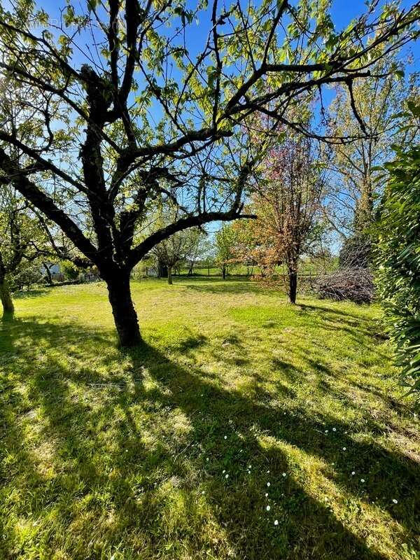 Terrain à MONTAUBAN