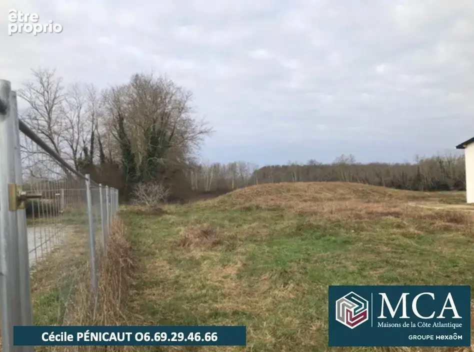 Terrain à DAX