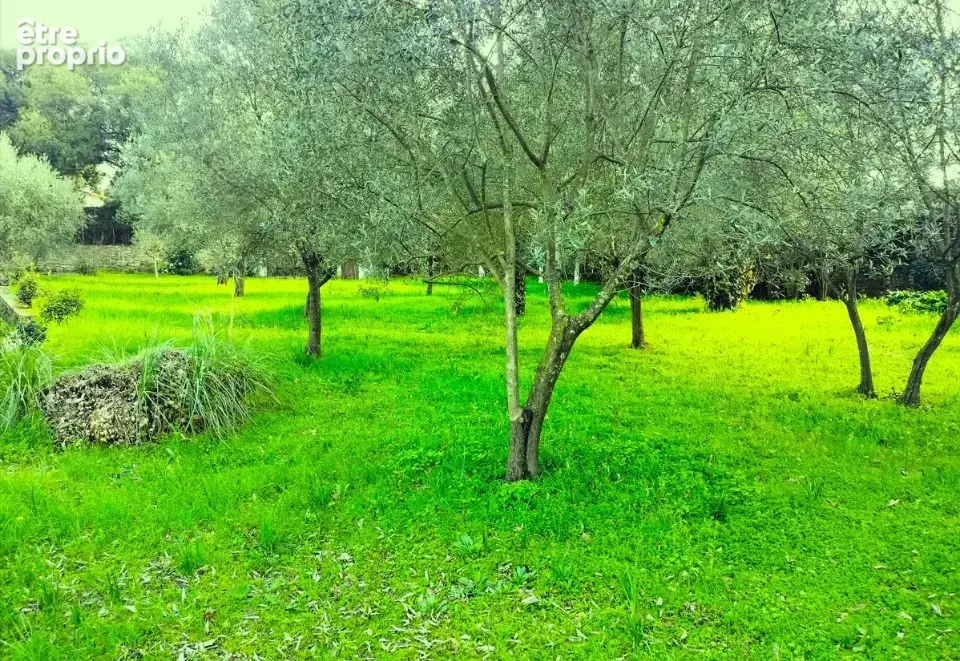 Terrain 1000 m² à Draguignan  - photo 3