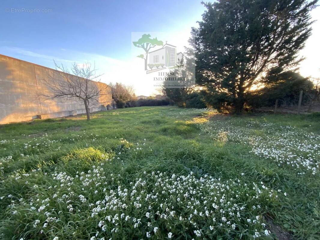 Terrain à VENTENAC-EN-MINERVOIS