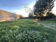 Terrain à VENTENAC-EN-MINERVOIS