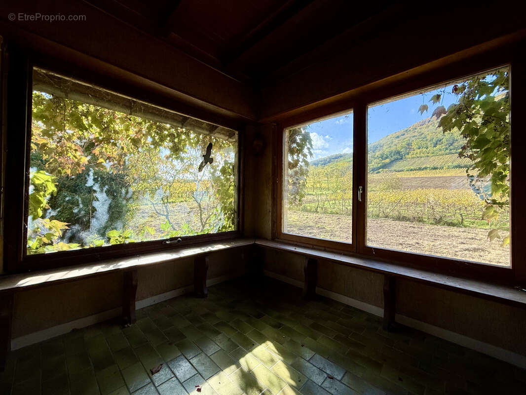 Terrain à CHATENOIS