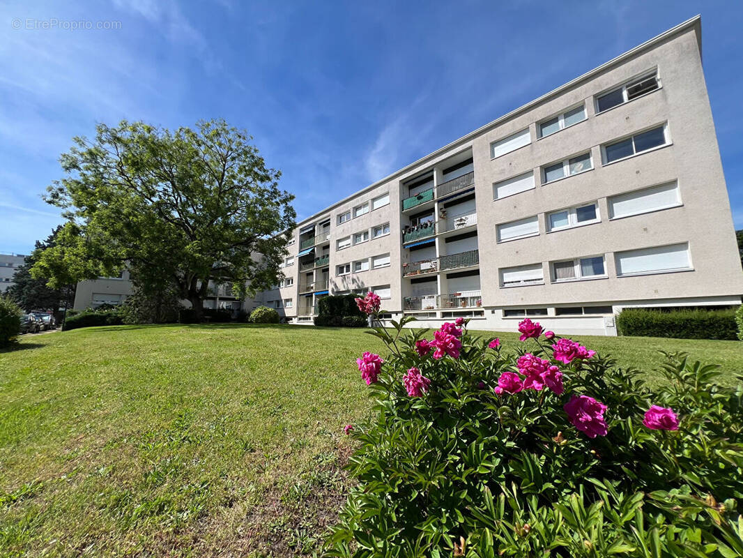Appartement à SAINT-JEAN-DE-LA-RUELLE