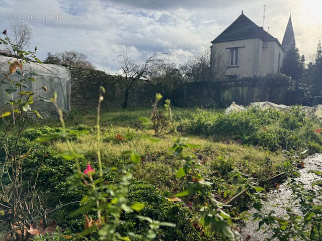 Terrain à NOZAY