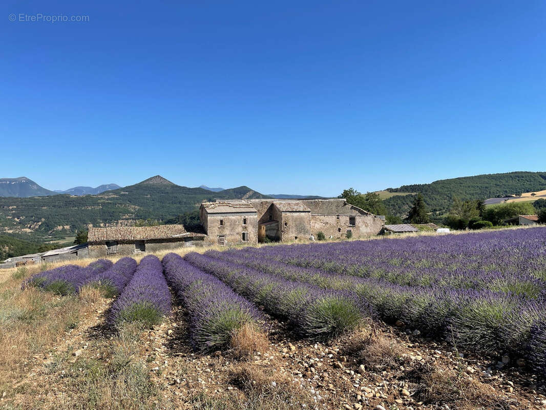 Maison à DIGNE-LES-BAINS