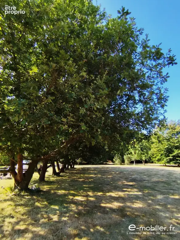 Maison 4 pièces 73 m² à vendre à Groix (56590) - photo 3