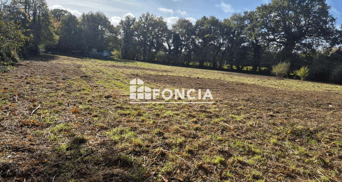 Terrain à NOYAL-CHATILLON-SUR-SEICHE