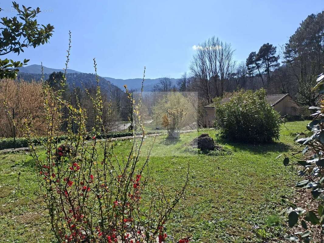 Commerce à LE COLLET-DE-DEZE