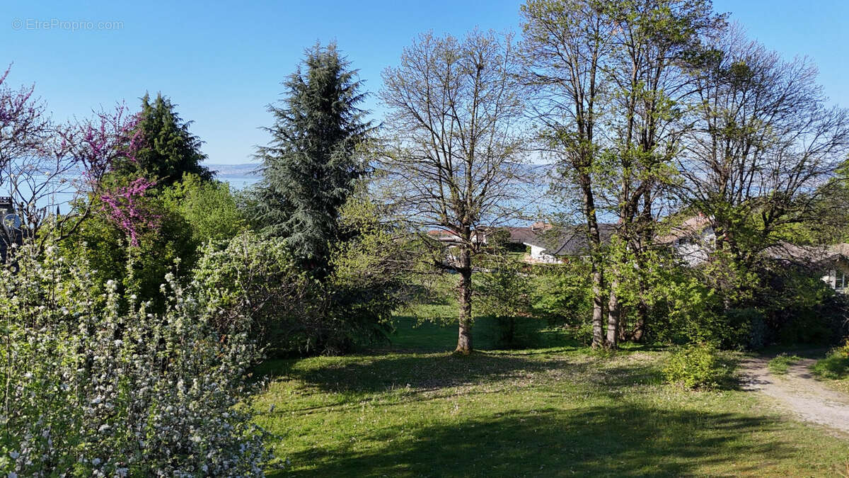 Terrain à LUGRIN