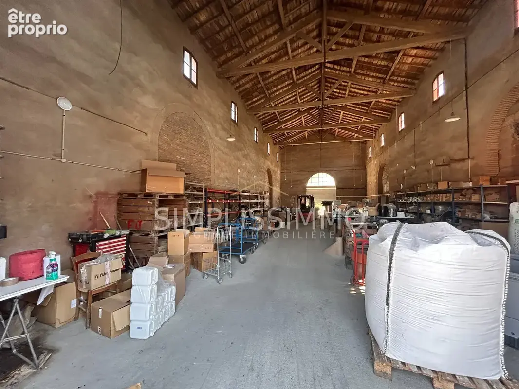 Commerce 4 000 m² à vendre à Villematier (31340) - photo 5