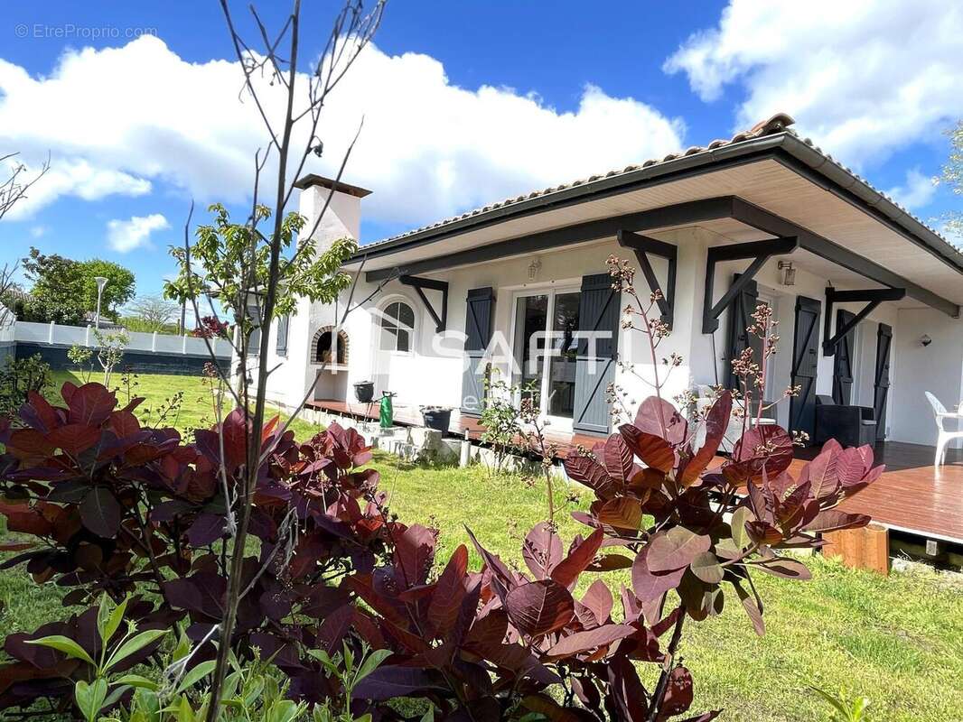 Photo 7 - Maison à ANDERNOS-LES-BAINS