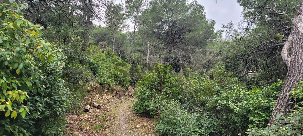 Terrain à CAVEIRAC