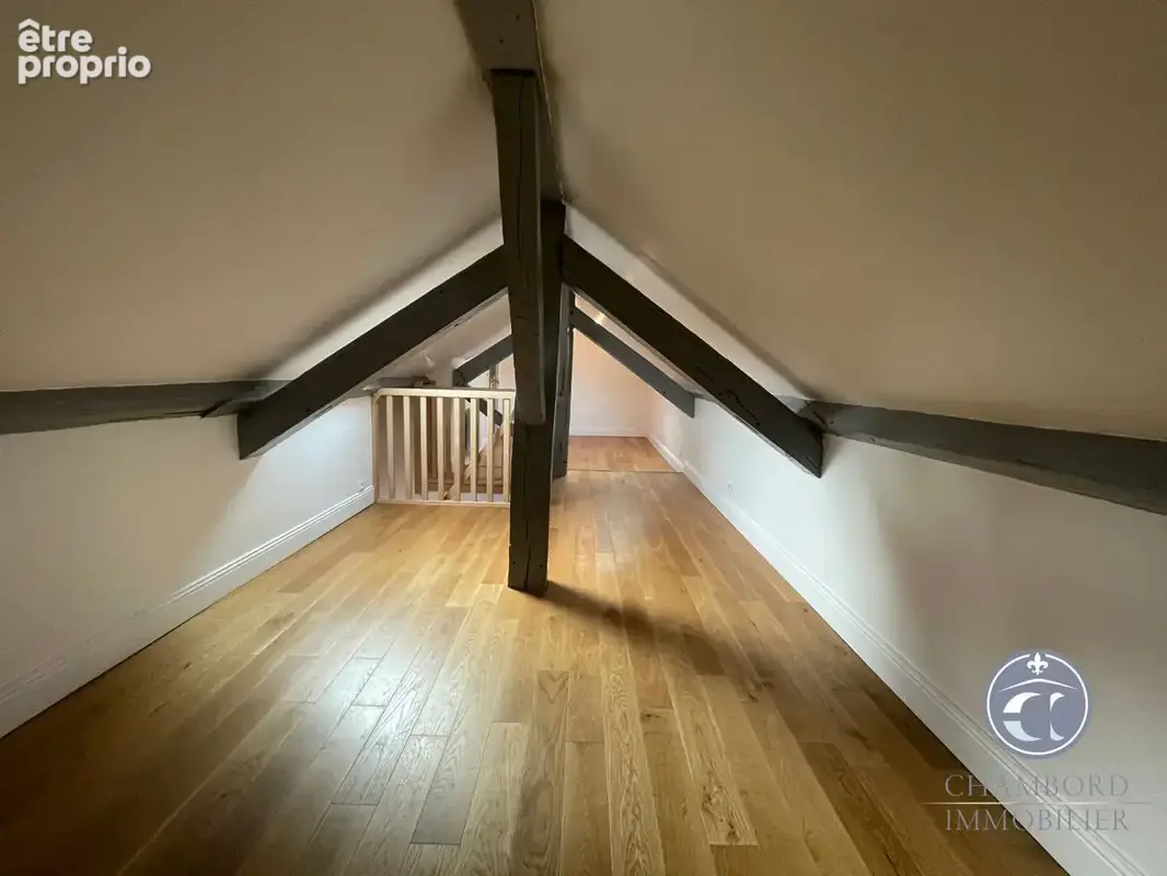 Appartement poétique à vendre au coeur de Blois, exclusivité CHAMBORD IMMOBILIER - photo 8