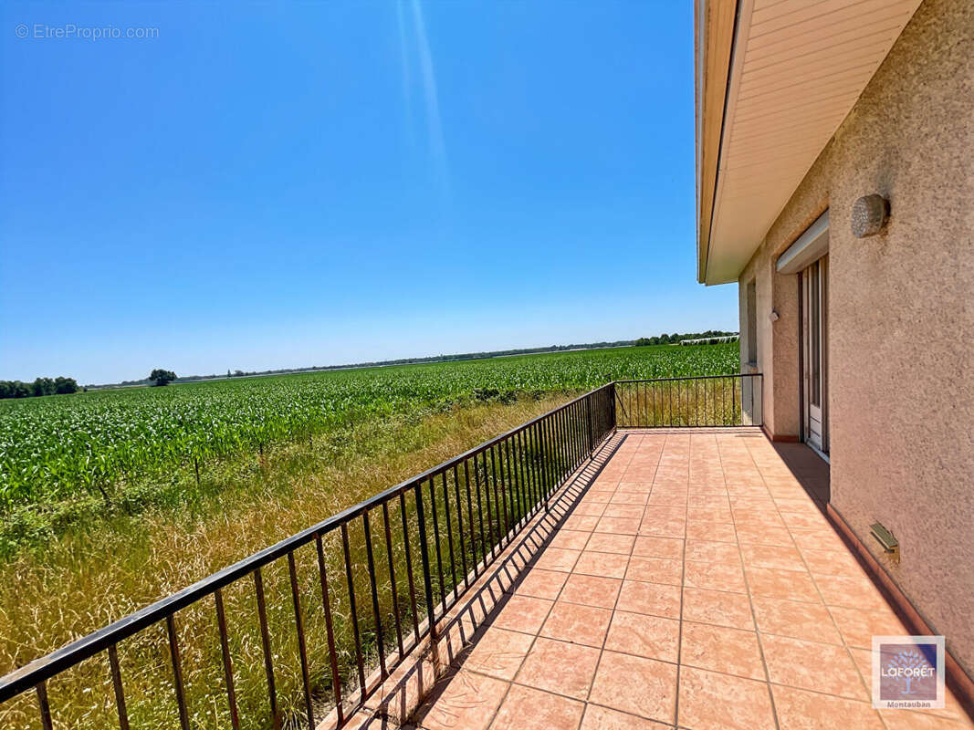 Maison à ALBEFEUILLE-LAGARDE