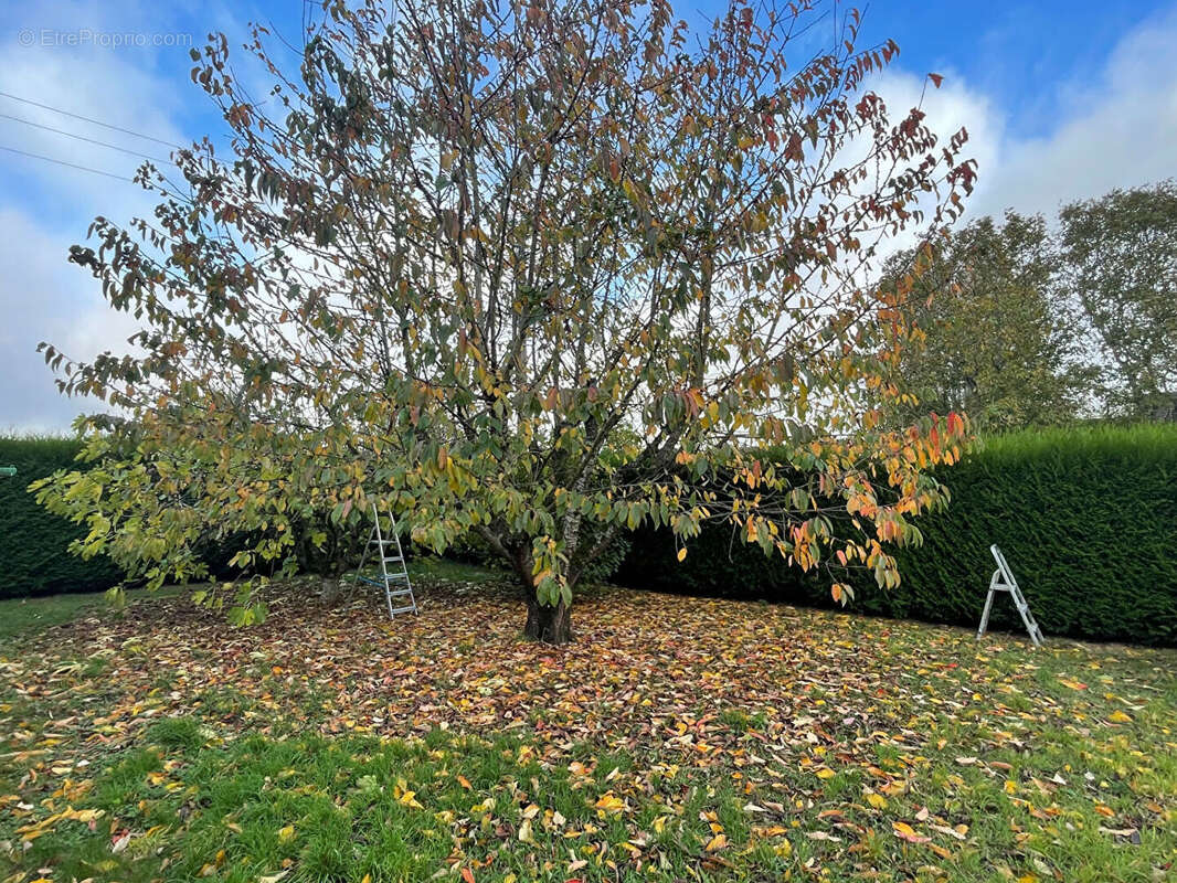 Maison à LA FERTE-SOUS-JOUARRE