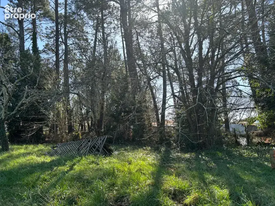 Terrain à ANDERNOS-LES-BAINS