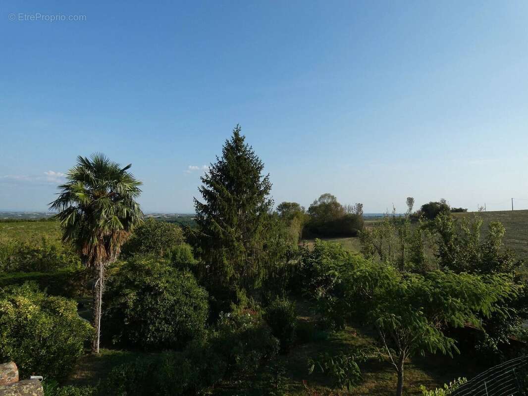 Maison à CORDES-SUR-CIEL