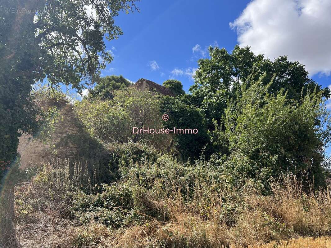 Maison à SAINT-PLANTAIRE