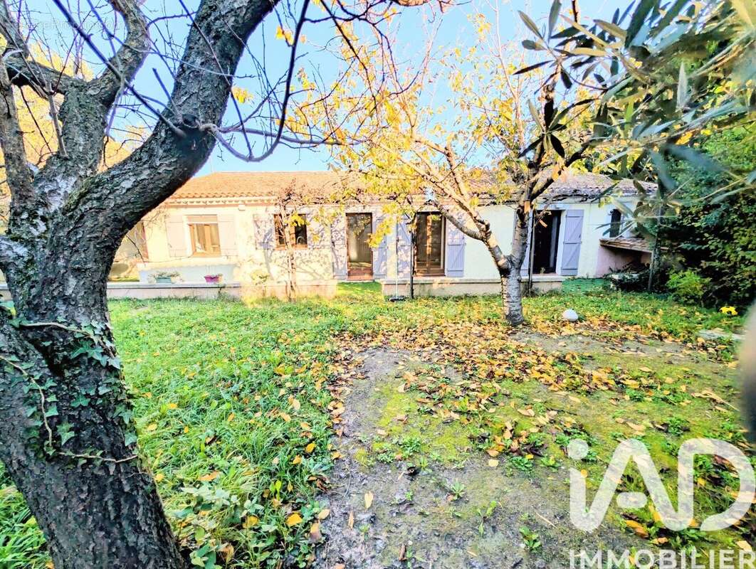 Photo 3 - Maison à ENTRAIGUES-SUR-LA-SORGUE