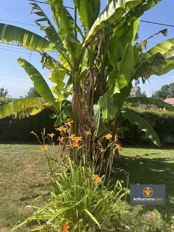 Maison à CHAMOUILLE