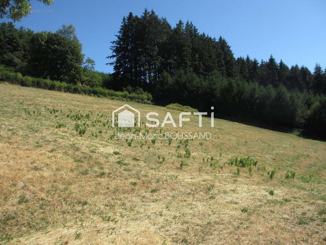 Terrain 1326 m² à Saint-Germain-La-Montagne  - photo 2