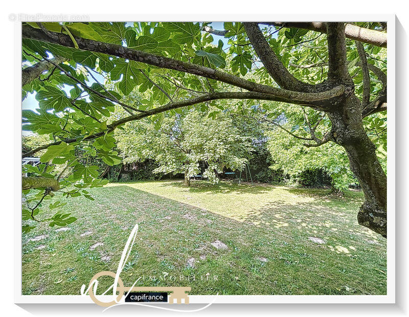 Terrain à MESSIMY-SUR-SAONE