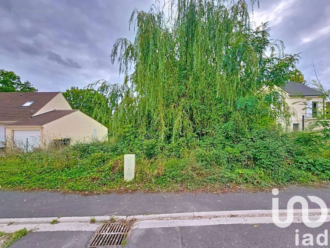 Photo 2 - Terrain à SOIGNOLLES-EN-BRIE