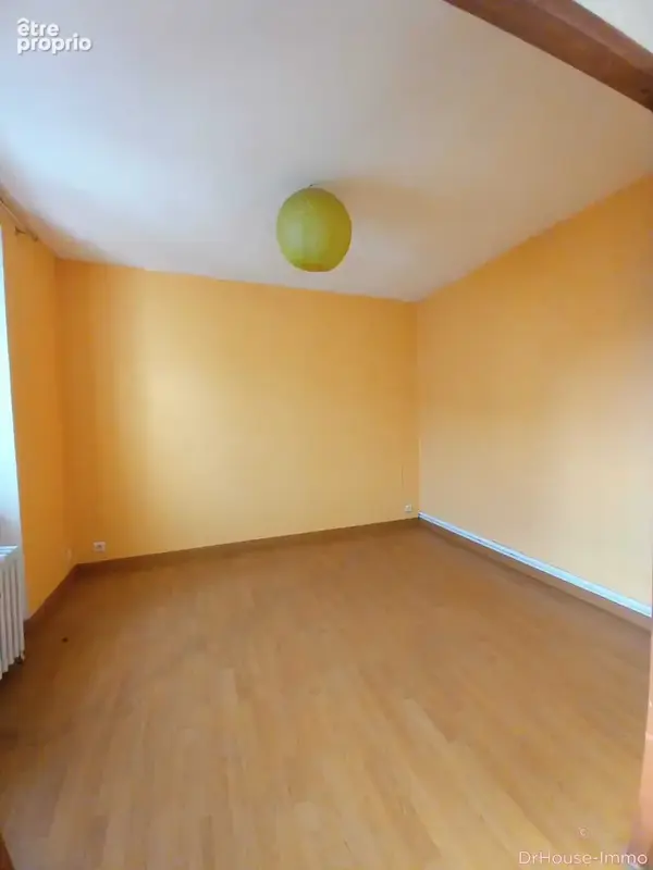Appartement 12 pièces 208 m² à vendre à Allegre (43270) - photo 9
