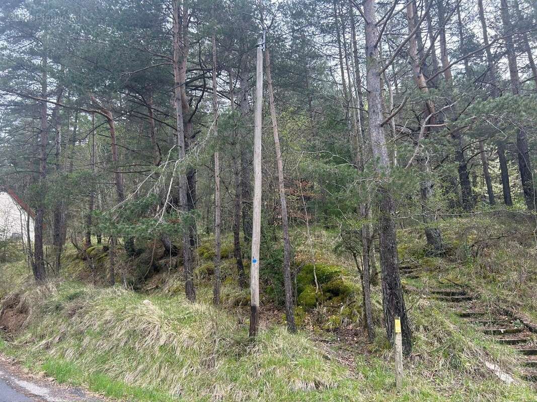 Terrain à SAINT-SAUVEUR-CAMPRIEU