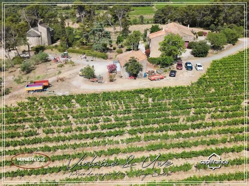 Domaine viticole d'exception de 47 hectares avec mas en pierre, gîtes et vignoble AOC Minervois – Hérault - photo 9