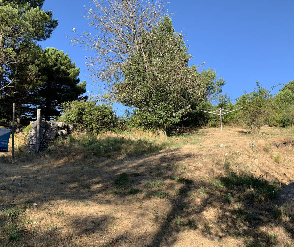 Terrain à PORTO-VECCHIO