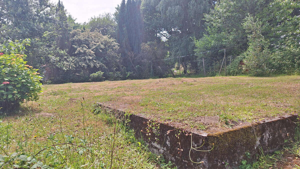 20250612_145236 - Maison à PIEGUT-PLUVIERS