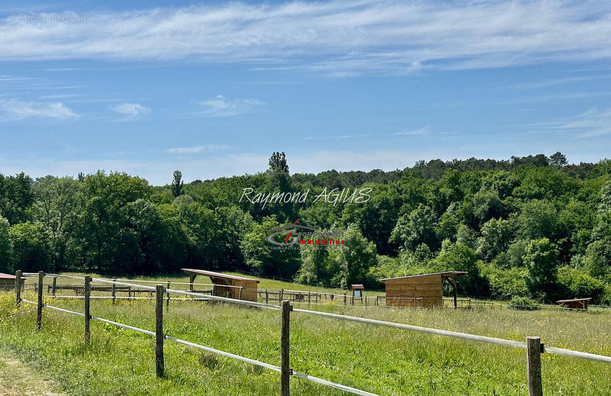 Propriété équestre exceptionnelle avec 5 chambres, piscine chauffée et plus de 6 hectares de terrain - photo 32