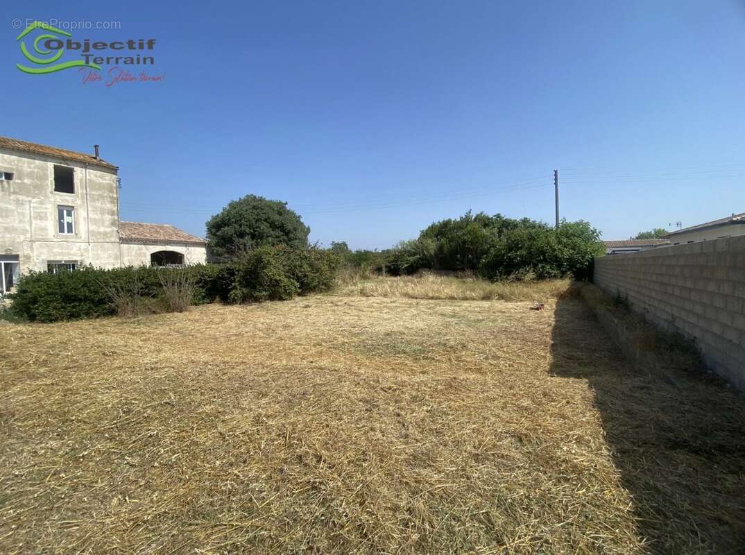 305m² - hors lotissement - calme - photo 2