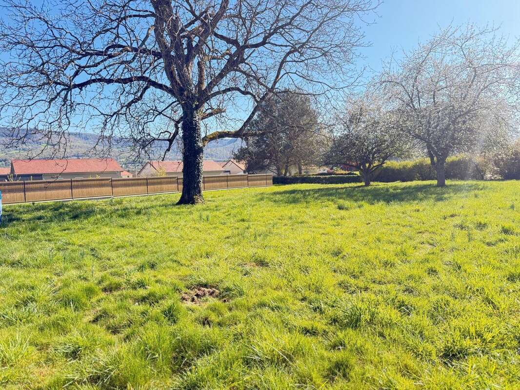 Photo 3 - Terrain à BUTHIERS