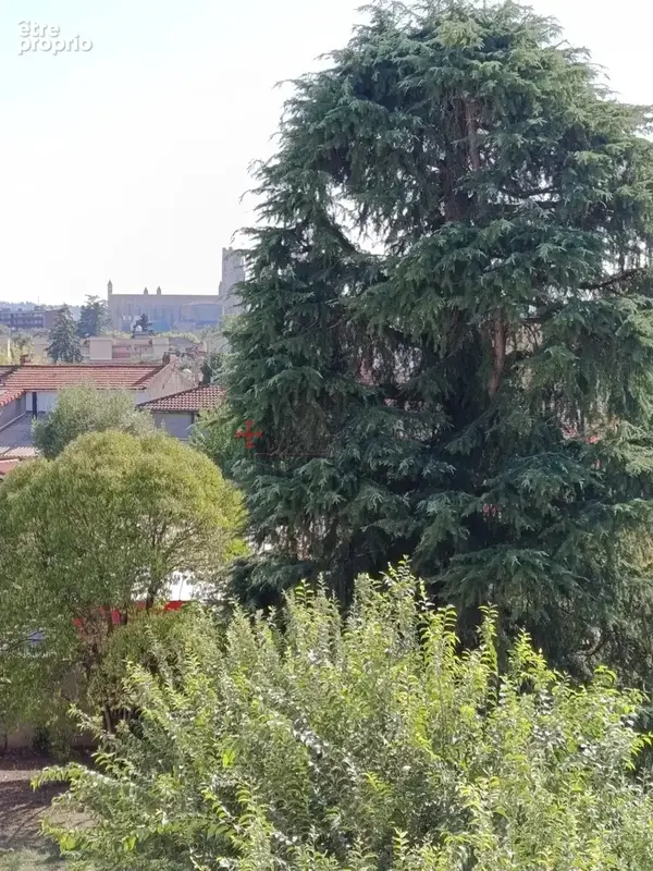 Appartement Albi AlbertThomas - photo 9