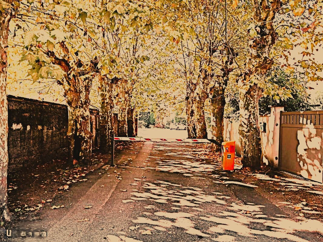 Appartement à SAINT-DIDIER-AU-MONT-D&#039;OR