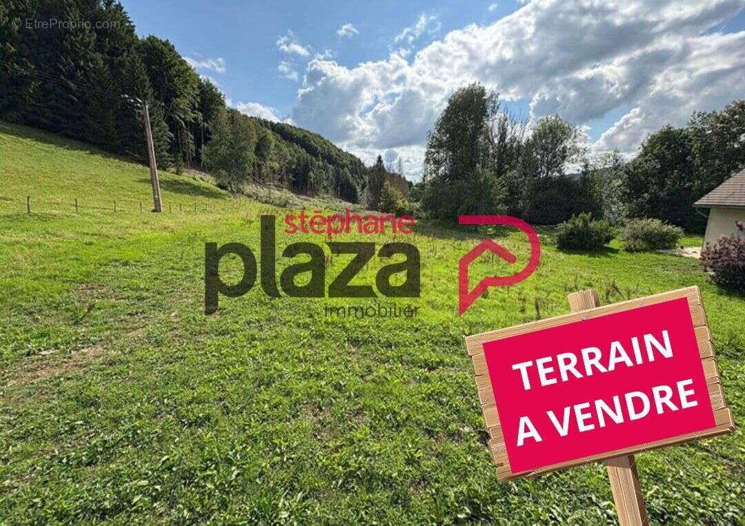 Terrain à FONCINE-LE-HAUT