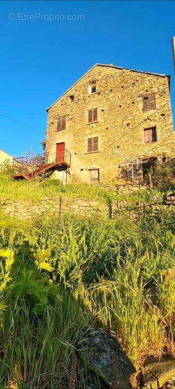 Maison à POGGIO-DI-VENACO