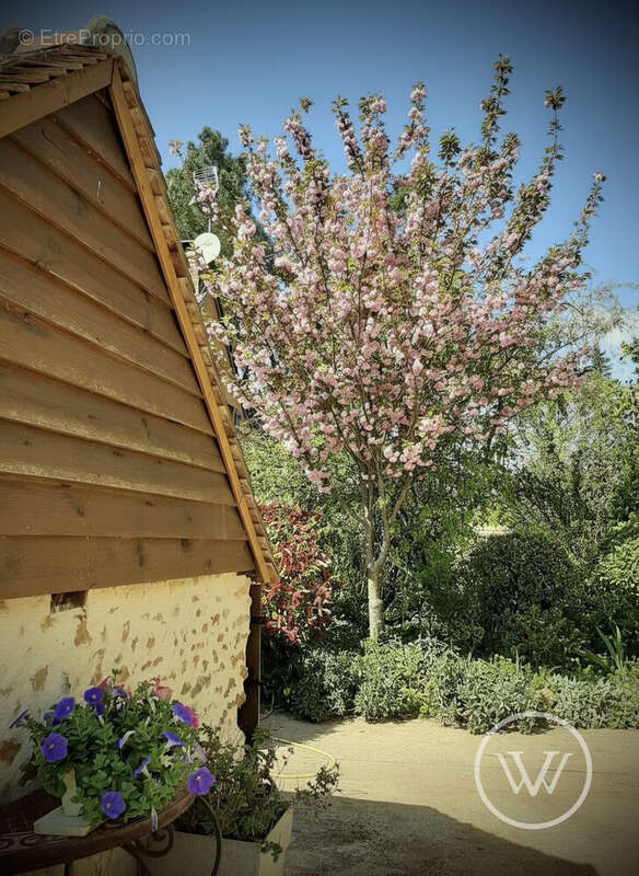 Maison à ECOMMOY