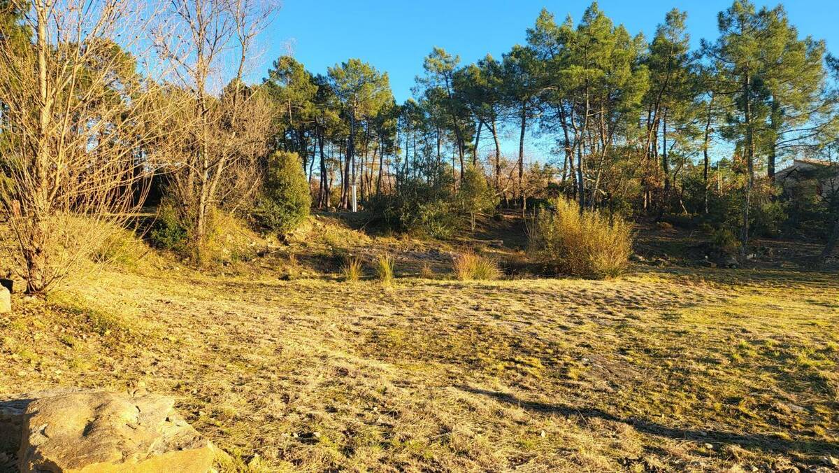 Terrain à LES ASSIONS