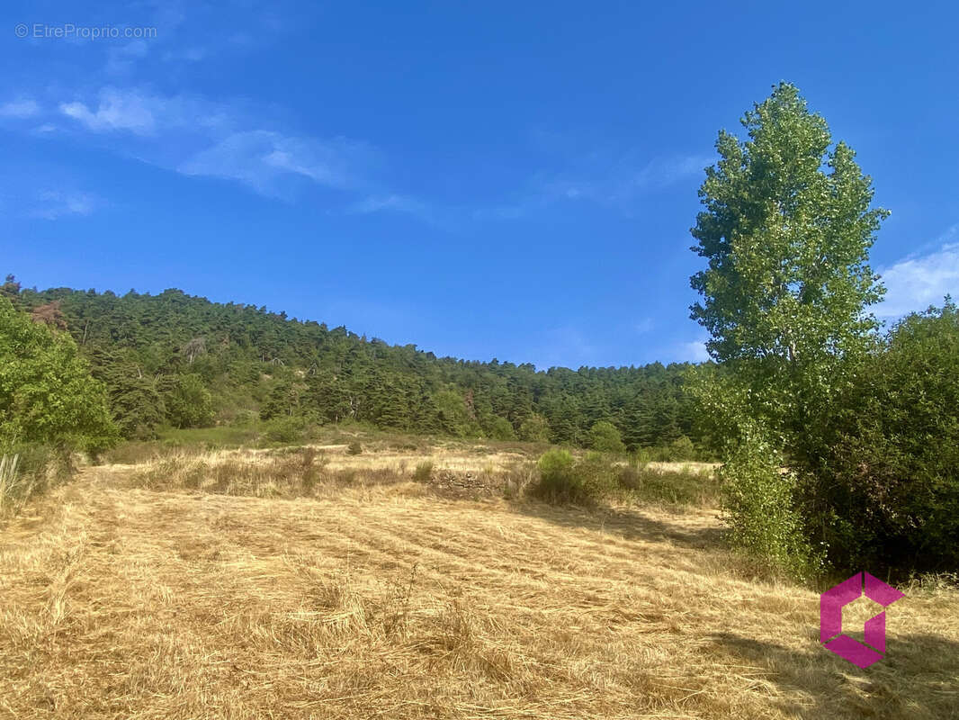 Rareté à Vinzieux : magnifique terrain constructible de 1293 m2 avec vue panoramique… - photo 2